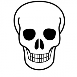 Skeleton Skull Drawing at GetDrawings.com | Free for personal use ...