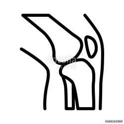 Knee bone joint / articulation with leg line art vector icon for ...