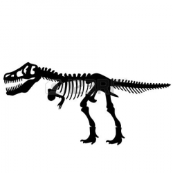 T Rex Dinosaur Skeleton | Dinosaurs | Pinterest | Skeletons ...