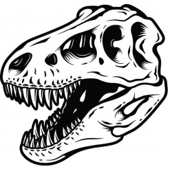 Tyrannosaurus Rex 1 Dinosaur Skull T-Rex Archaeology Dino