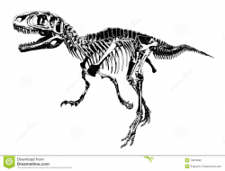 Clipart Of A 3d Tyrannosaurus Rex Trex Tall Dinosaur Bones Skeleton ...