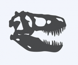 T Rex Skull - Dinosaur Fossil - Car/Truck/Home/Laptop/Computer/Phone ...