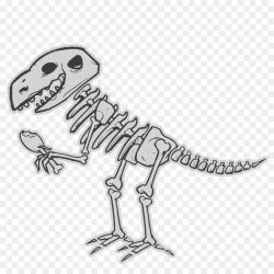 Tyrannosaurus Dinosaurs: How to Draw Triceratops Clip art - Skeleton ...