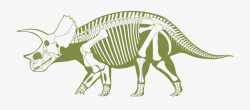 Skeleton Clipart Triceratops - Triceratops Skull Transparent ...