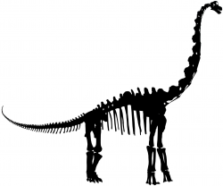 dinosaur skeleton silhouette - Google Search | Quilt specific - Dino ...