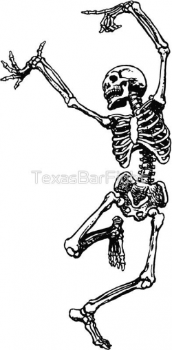 Dancing Skeleton - Transparent Background | cool shit | Pinterest ...