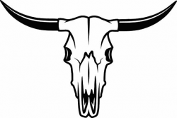 Bull Skull 1 Skeleton Bones Horns Cowboy Country Western Cow