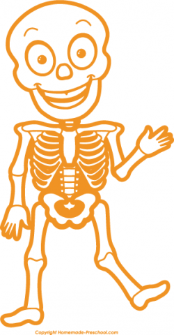 28+ Collection of Free Clipart Skeleton Bones | High quality, free ...