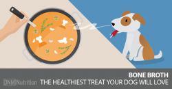 Bone Broth For Dogs? Here's Why It's A Great Idea!