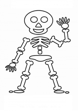 28+ Collection of Skeleton Clipart Easy | High quality, free ...