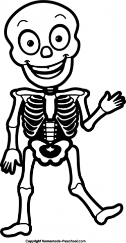 Skeleton clip art 3 skeleton clipart fans - ClipartBarn