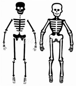 Bones clipart simple skeleton - Pencil and in color bones clipart ...