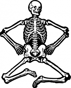 Human Skeleton Clip Art at Clker.com - vector clip art online ...
