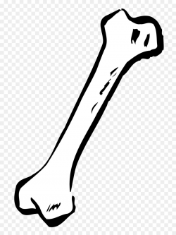 Dog Bone Human skeleton Clip art - bone png download - 830*1195 ...