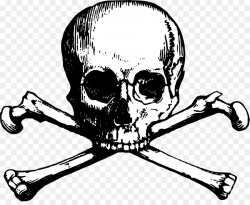 Skull and Bones Skull and crossbones Clip art - skulls png download ...