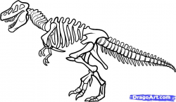 28+ Collection of Dinosaur Bones Clipart | High quality, free ...