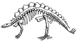 Gallery For Dinosaur Skeleton Clip Art | Art | Pinterest