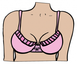 Breasts, Boobs, Jugs, Knockers, Whatever You Call 'em—Let's discuss ...