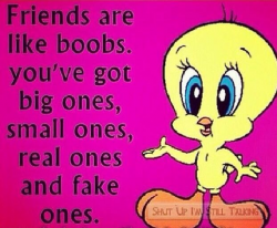 So…What kind of friends do you have???? #cartoon #funny #boobs ...