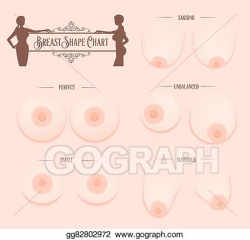 EPS Illustration - Breast shape chart. Vector Clipart gg82802972 ...