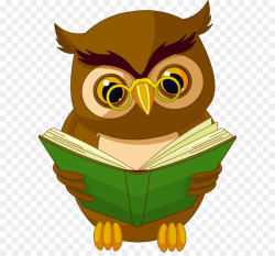 Owl Animated cartoon Drawing Animation - Transparent Owl with Book ...