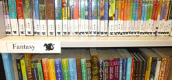 Arranging library fiction by genre | Libraries supporting readers ...