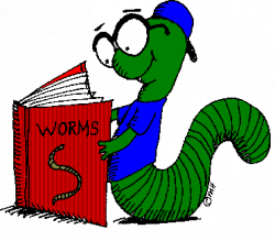 The Budding Bookworm: Award-Winning Books for YA!