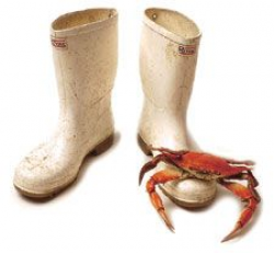 White Shrimp Boots and Crab | Louisiana | Pinterest | White shrimp ...
