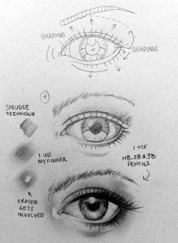 12 best Eyes images on Pinterest | Eye drawings, Drawing eyes and ...