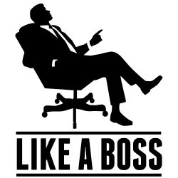 Changing Medical Management Jobs: Like a Boss?