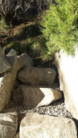 Rock stairs over drainage system in Donner Lake. - Yelp