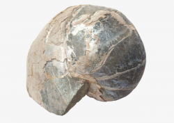 Irregular Round Stone, Nature Stone, Small Rock, Mineral Condensate ...