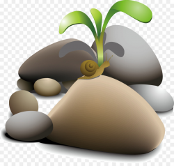 Rock Boulder Pebble Clip art - Snail and nature png download - 2493 ...