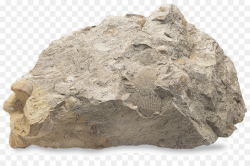 Sedimentary rock Limestone Mineral - silt png download - 960*619 ...