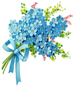 1253 best ♡♡FORGET ME NOT..♡♡ images on Pinterest | Blue flowers ...