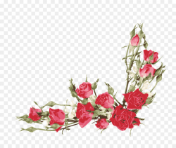 Rose Flower bouquet Clip art - Red Rose Border png download - 1753 ...