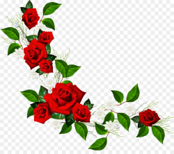 Flower Rose Red Clip art - rose border png download - 1137*987 ...
