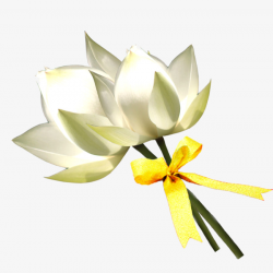 Hand-painted Lily, Bow, Bouquet, Lily PNG Image and Clipart for Free ...