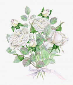 Rose Bouquet, Bow Tie, Ribbon, White PNG Image and Clipart for Free ...