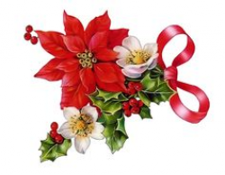 vintage christmas flower, holly and berries image, vintage floral ...