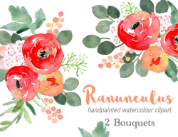 Watercolour Clip Art - Ranunculus Two Bouquets, red flowers, bouquet ...