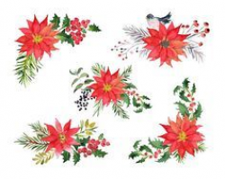 CHRISTMAS watercolor clip art , twigs and poinsettia bouquet drawing ...