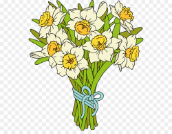 Flower bouquet Clip art - Daffodil Cliparts png download - 600*682 ...