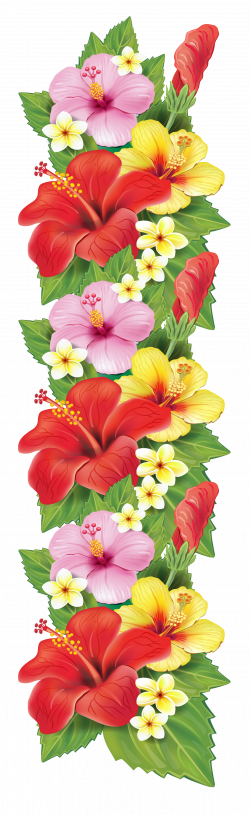 Exotic Flowers Decoration PNG Clipart | حروف | Pinterest | Exotic ...