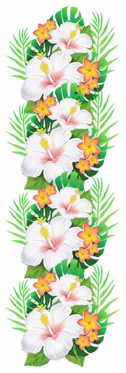 White Exotic Flowers Decoration PNG Clipart | Exotic Flowers ...