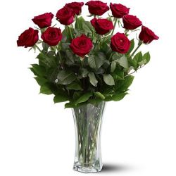 A Dozen Premium Red Roses in Minot, ND | Flower Central