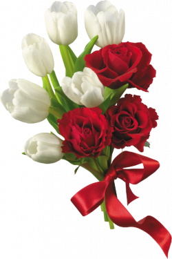White Tulips and Red Roses Flower Bouquet PNG Clipart | Dream ...