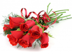 Delivery Bouquet 35 Red Roses Bouquets Ro Incredible Flower Bokeh ...