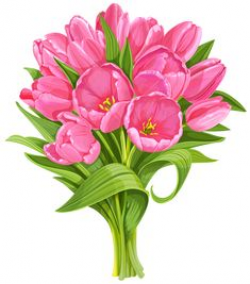 Tulipán-8 [átalakított] .png | Png | Pinterest | Flowers, Clip art ...