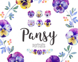 Pansy watercolor clip art, Flower illustration, Watercolor bundle ...